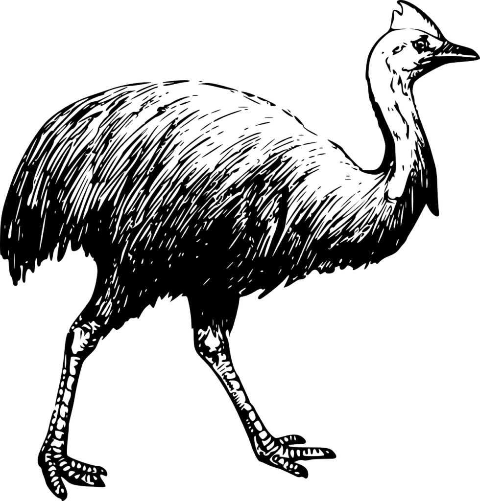 benefits of Emu Oil